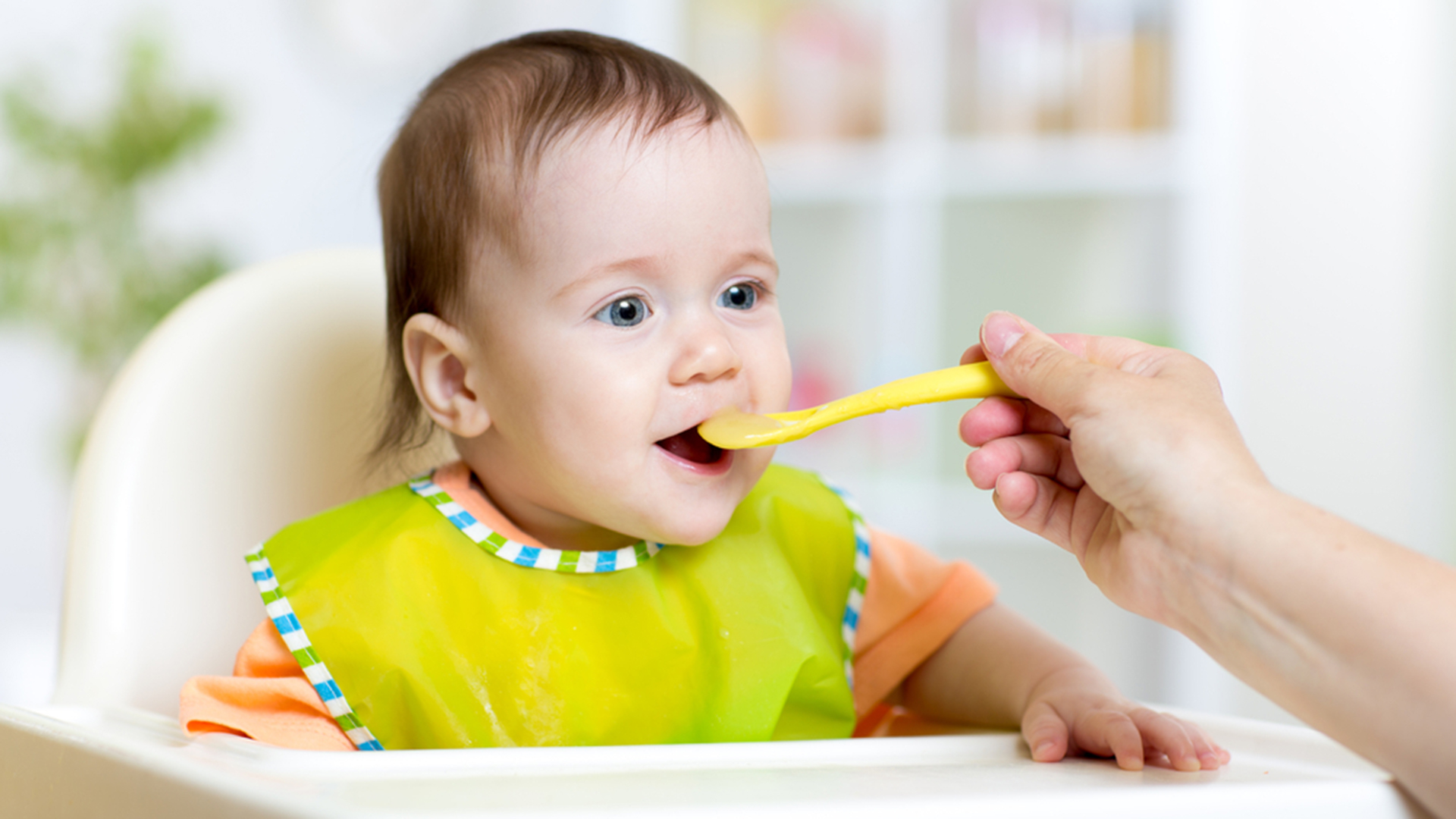 The Most Effective method to stay away from poisonous metals in  infant’s nourishment (and people’s)