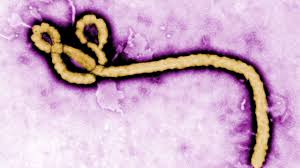 Ebola Attentive : Swedish Medical Clinic says, patient is giving indicate of Dangerous Infection .