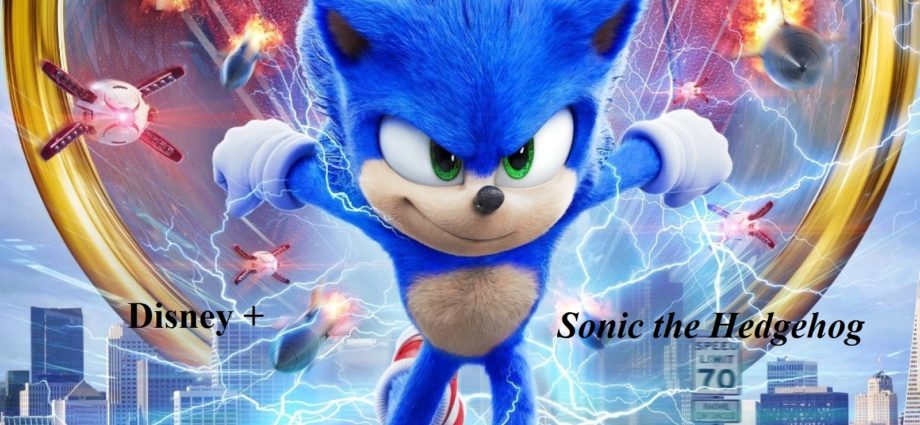 Sonic the Hedgehog 1