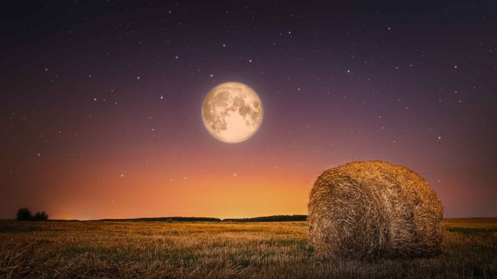 Harvest Moon 2021: When to see the moon, the last full moon before autumnal equinox