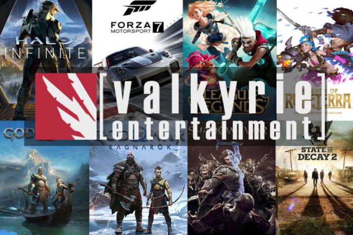 Sony purchases co-development studio Valkyrie Entertainment