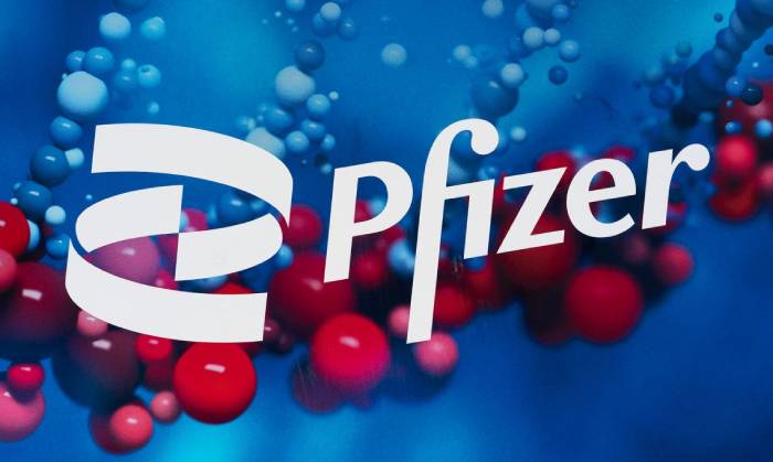 Pfizer say Covid-19 may become endemic by 2024