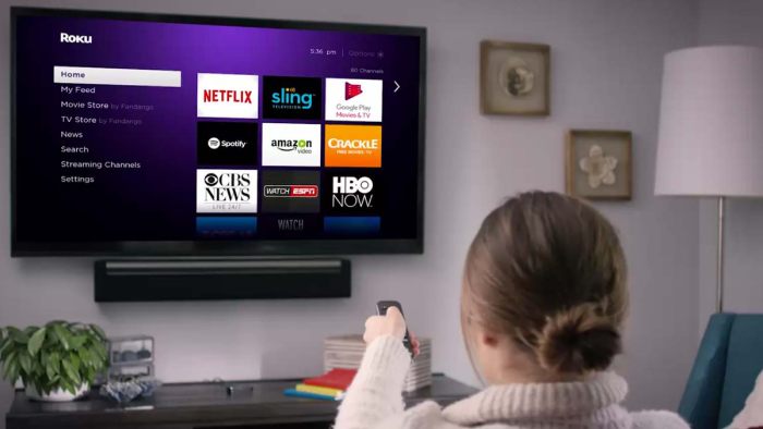 Roku stock pops on multiyear deal with Google to keep YouTube on the streaming platform