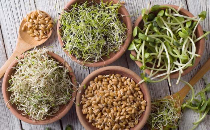 Consume sprouts on a daily basis to these amazing benefits