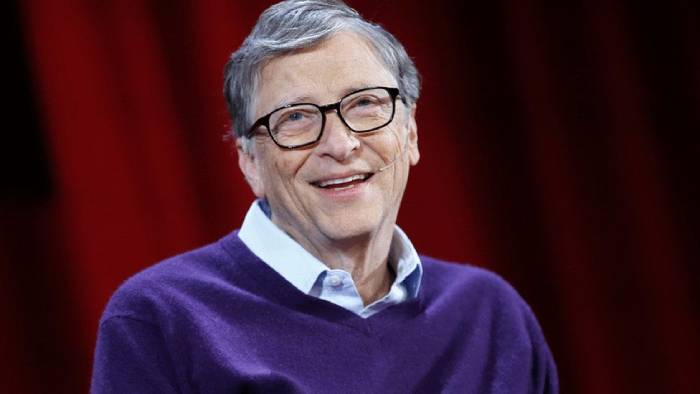 Crypto and NFTs, according to Bill Gates, are “100% based on greater fool theory”