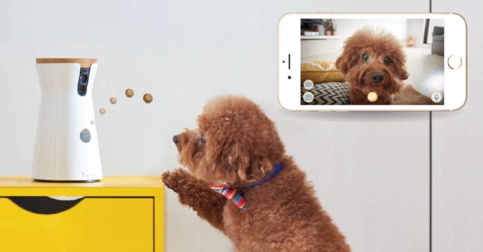 Furbo launches the Furbo 360 Dog Camera, a rotating camera that keeps track on your dog