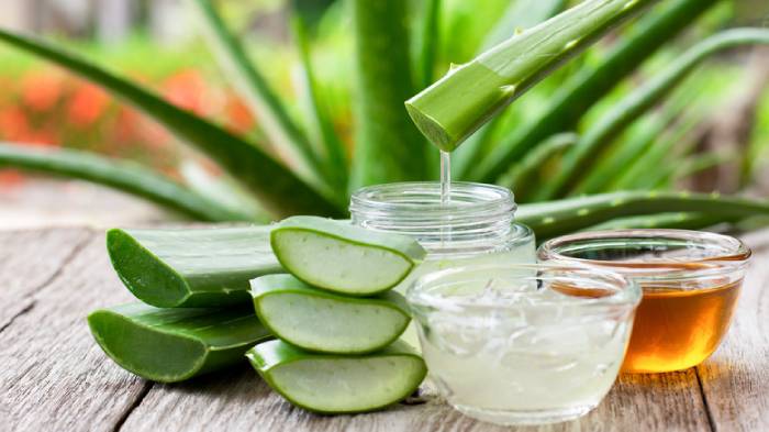 6 Potential Health Benefits of Aloe Vera