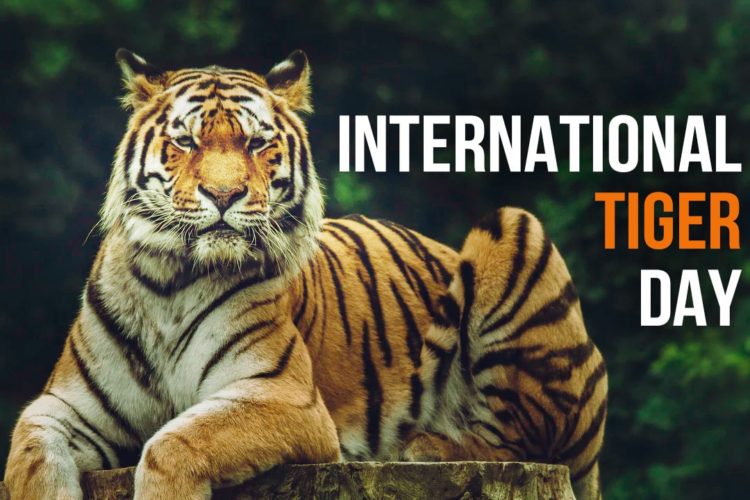 International Tiger Day 2022 : Know Date, History, Significance of the day