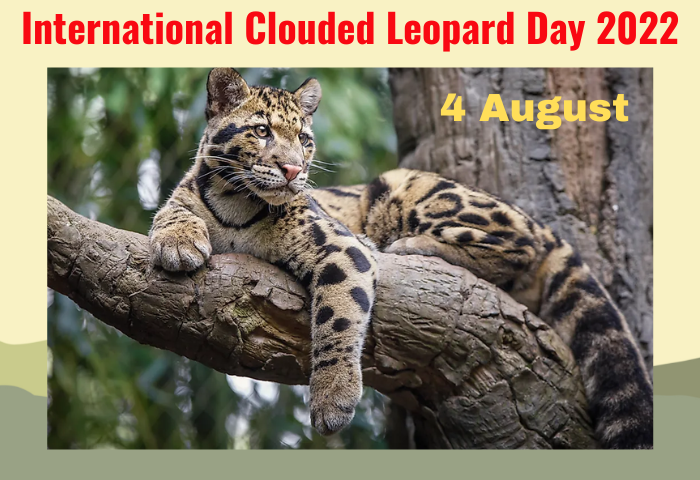 International Clouded Leopard Day 2022: Know Date, History, Importance and Facts About This Day