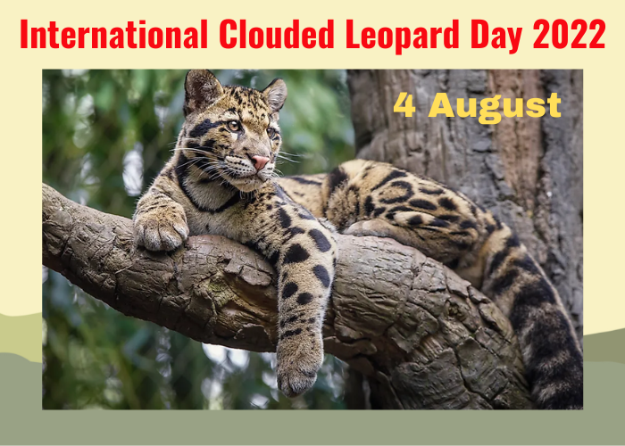 International Clouded Leopard Day 2022: Know Date, History, Importance and Facts About This Day