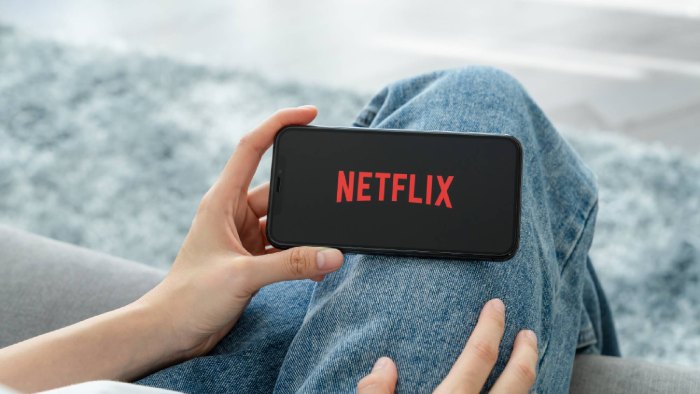 Netflix will provide a more affordable, ad-supported subscription option in November