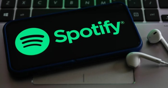 According to reports, Spotify is removing 11 original podcasts