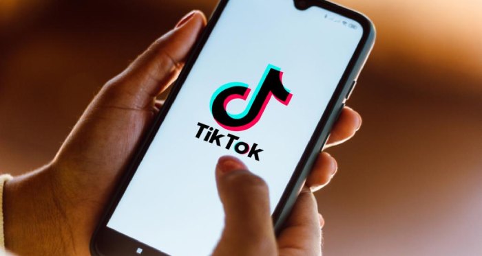 According to reports, TikTok plans to launch fulfilment centres to compete with Amazon
