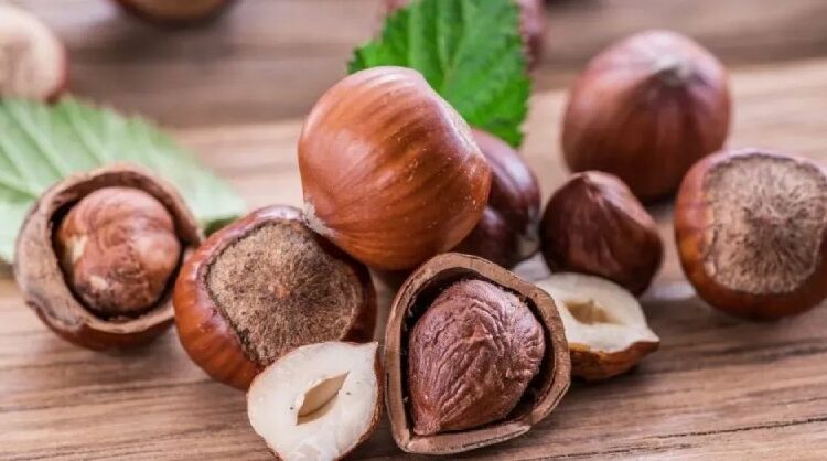 5 Amazing benefits of Hazelnuts for your health