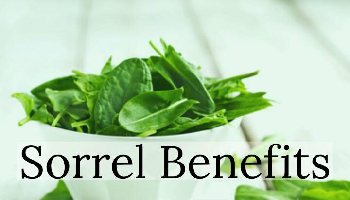 5 Amazing benefits of ‘Sorrel’ for health
