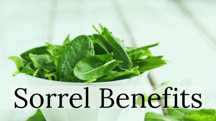 5 Amazing benefits of ‘Sorrel’ for health
