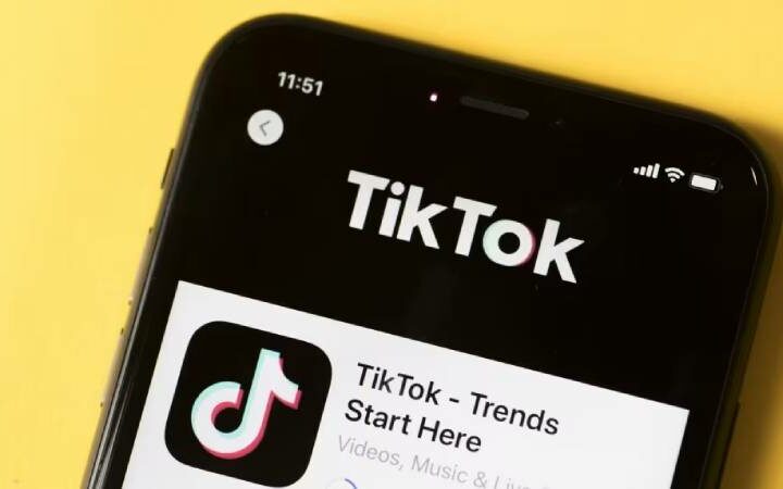 ‘Tako’ is an AI chatbot that TikTok is testing inside the app