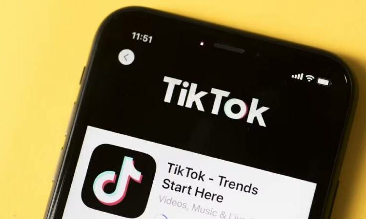 ‘Tako’ is an AI chatbot that TikTok is testing inside the app