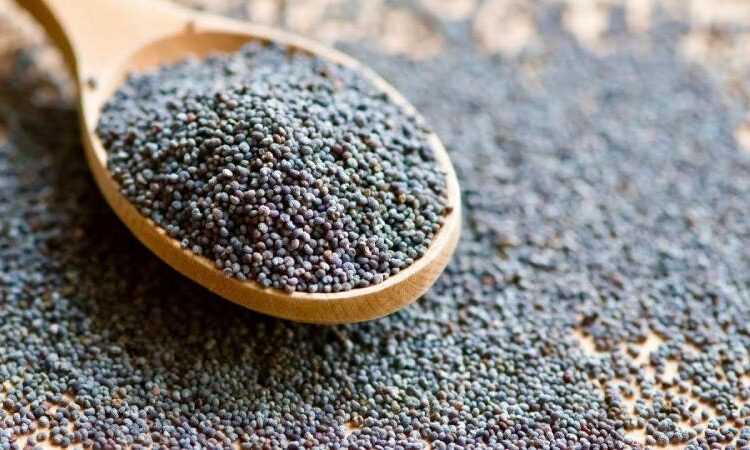 6 Surprising Benefits of Poppy Seeds For Health