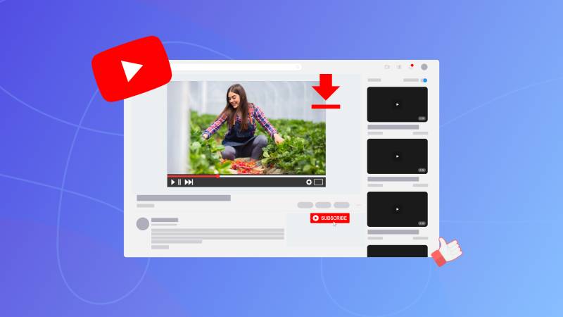 How to download videos from YouTube, TikTok and Instagram