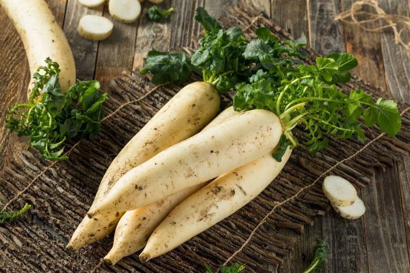 6 Health Benefits Of Eating Radish During the Winter