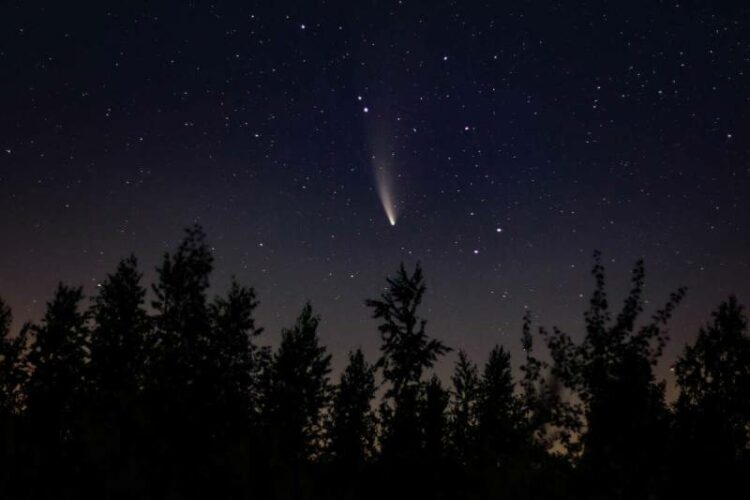Everything You Need to Know About the 2023 Ursid Meteor Shower, Including When to Watch It and When to Peak