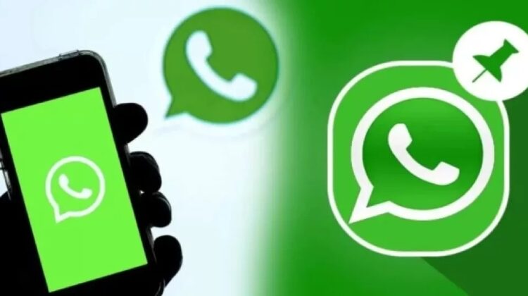 With WhatsApp’s new Pinned Messages feature, specific messages can be pinned within a Chat