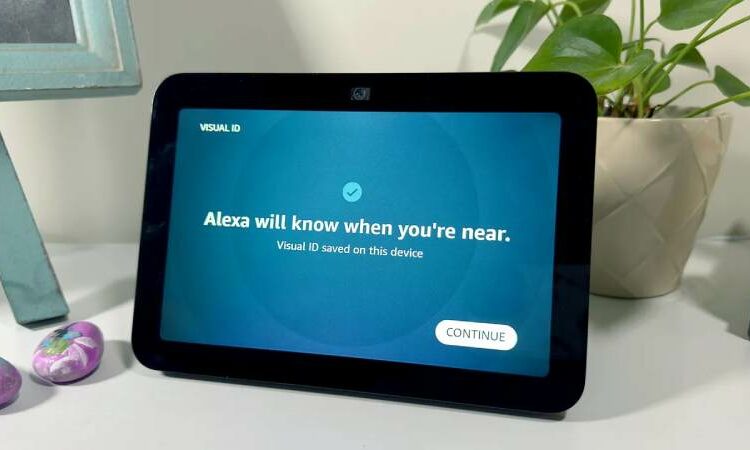 Alexa will start to cost from June, unless a redesign is delayed by an internal conflict