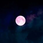 How to watch the Lyrid meteor shower when the moon is pink