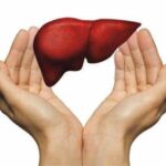World Liver Day 2024: Is The Liver Being Harmed By Your Diet?