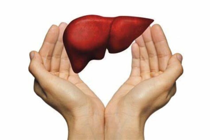 World Liver Day 2024: Is The Liver Being Harmed By Your Diet?