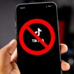 TikTok: Which countries have banned the app and why?