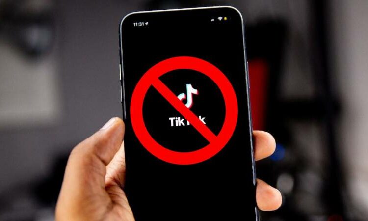 TikTok: Which countries have banned the app and why?