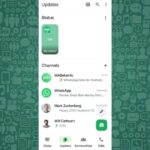 Here can be Whatsapp Status Tray could be Stay as per redesigned