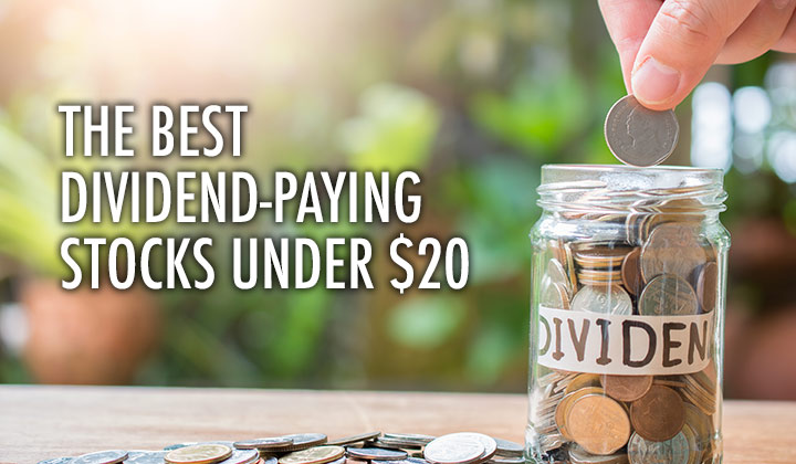 Top High-Yield Dividend Stocks Under $20 for 2024