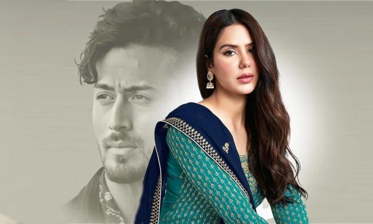 A new Baaghi 4 film has been signed by Sonam Bajwa after her Housefull 5